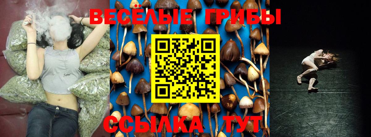 магазин  наркотиков  Галлюциногенные грибы мицелий  Вход с VPN  Ангарск 